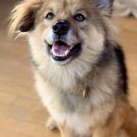 こちらまで笑顔になっちゃいます