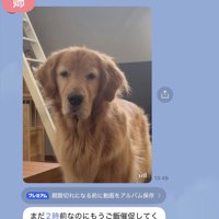 ピケくん