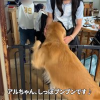嬉しすぎるアルト君