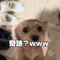 喜んでくれた…！！
