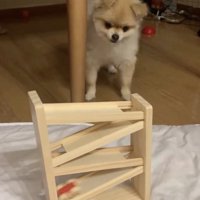 100％のシンクロ度