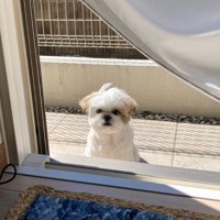 何とも言えない顔のほまれ君