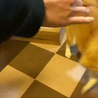 嬉しすぎて行ったり来たり