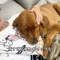 「自認は小型犬」甘えん坊なロックさん