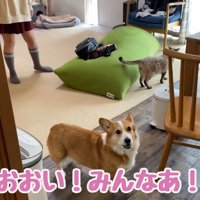 「行ってくるねー」と伝えるお母さん