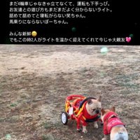 車椅子のライトくんとお友達8