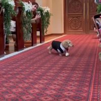 反対側の席も…