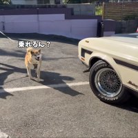 特別な車も出してくれた