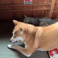 主導権はももちゃんかも…