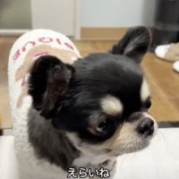 速やかに「完食」