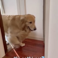 多忙を極めるサンちゃん