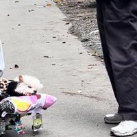 「家族と同じだもんなあ」