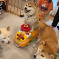 ポポちゃんとの思い出3