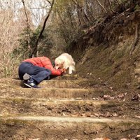 「なに？どうしたの？」