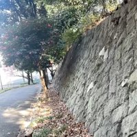 トシくんと大きな壁