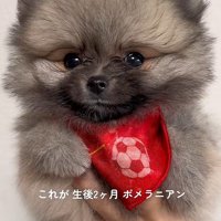 スクスク成長してね！！