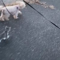 友達になりたかった？