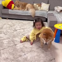 「やってあげる」