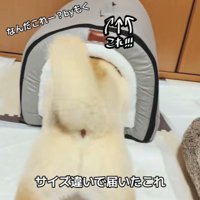 さっそく入ってみることに