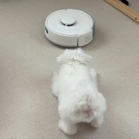 また別の日