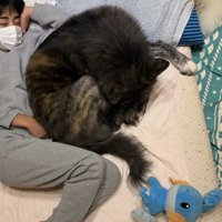 お兄ちゃんが心配なのかな？