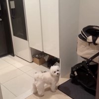 ひらめいた！！