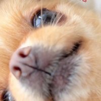 溺愛される芭ちゃんでした♡