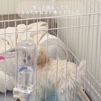 注射後のぱうちゃん2