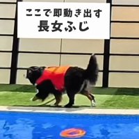 ふじちゃんが先陣を切る