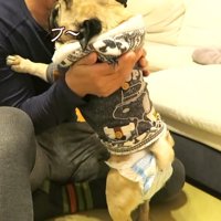 不満そうに鳴いています