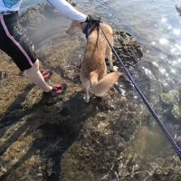 「大丈夫？気を付けてね」