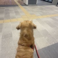 すぐに見つけちゃいました