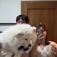 大きすぎる赤ちゃん！？