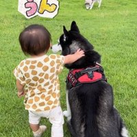 ジジちゃんを触る赤ちゃん