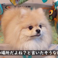 我が物顔でベビージムを占領（笑）