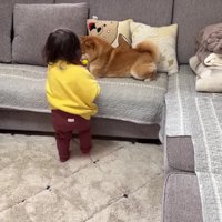 「かーしーて」