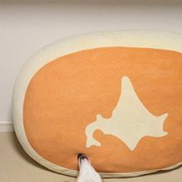 北海道クッションのそばで…
