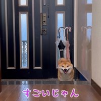 「次は僕の番」