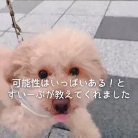 すいーぶ君の変化⑩