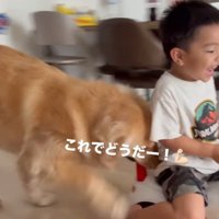 犬におもちゃの車を動かしてもらって、嬉しそうな声をあげる男の子