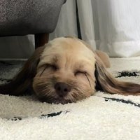 どんな姿も可愛いね！！