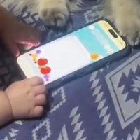 スマートフォンに触れる赤ちゃんの手と犬の前足