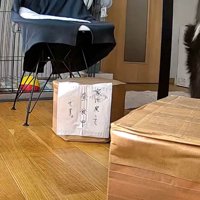 貼り紙