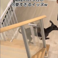 下の階に到着