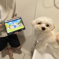 過保護