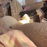 にぎやかな目覚め…♪