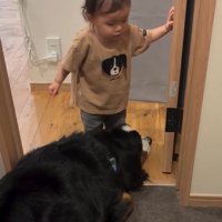 通りたい赤ちゃん