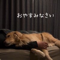 やっぱりパパの隣がいい…