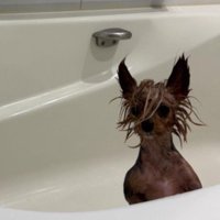 前髪がインパクト大きい…！！