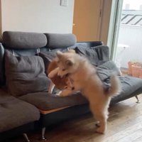 反撃するララちゃん
